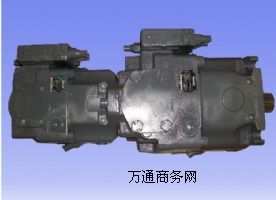 A11V0130ʿ(l)p(lin)