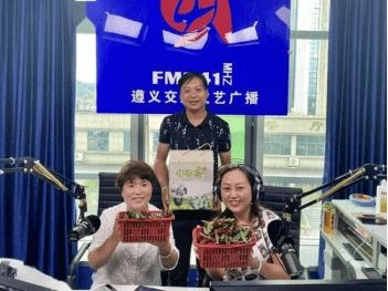 xͨVfm94.1VͶŃr(ji)x_(ti)(ji)Ŀ