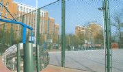 W(xu)@xřڣ\ӈطo(h)W(wng)wW(wng)ʩb