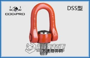 RɭCODIPRO DSSD(zhun)h(hun)Ҏ(gu) 