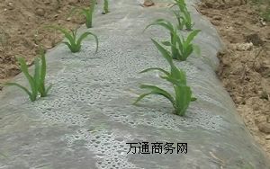 (yng)I(y)bĤĤĤr(nng)Ĥ(zhun)I(y)a(chn)Ʒ