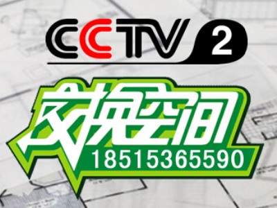cctv2QgVXcctv2QgVM(fi)