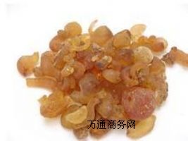 (yng)za(chn)Sʳüzr(ji)