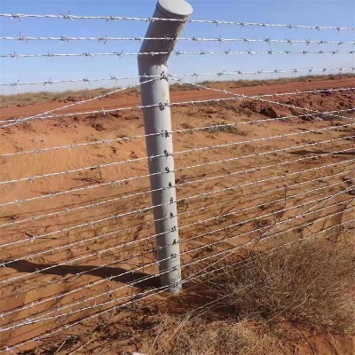 ӱιɴKSҹݹ·F޼ݸٹ·FzW(wng)