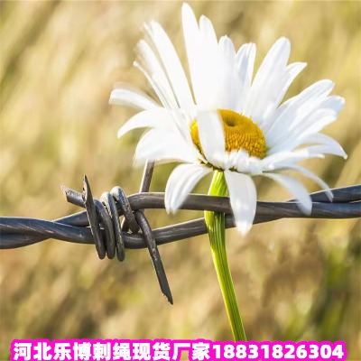 ؑc\KS 6䓽zK ϴ7Fz