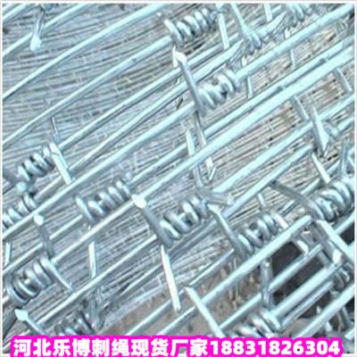\KS12̖z@־Go(h)W(wng)F(xin)؛(yng)