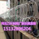 hP䓵Ƭ̾W(wng)CL\W(wng)Sa(chn)