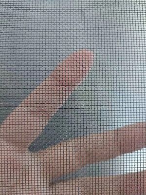 304|03״16Ŀ͸We͸W
