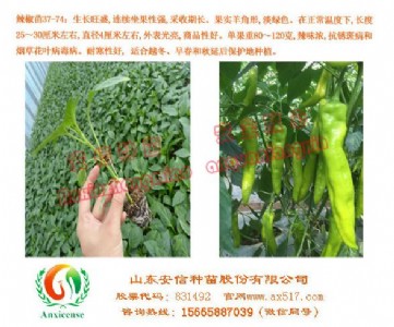 ӱl(f)ŷN簲ȫ