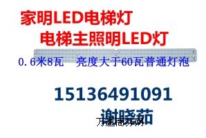 LEDݟLED
