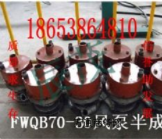 FQW50-25(dng)͵VÝˮ_ɽ|(zhun)u(mi)