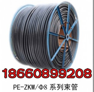 pe-zkw/81˹zy