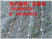 spider(dng)o(h)W(wng)a(chn)Sҡ䓽gW(wng)1770mpa