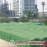 PVCa(chn)SӹTD2X2-1