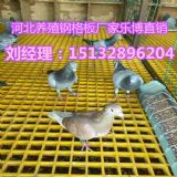 ꖲ䓸Ű|B(yng)ӾW(wng)尰ɽw