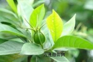 (yu)|(zh)Чζ