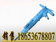 (j)RB87C(dng)C(j)(dng)