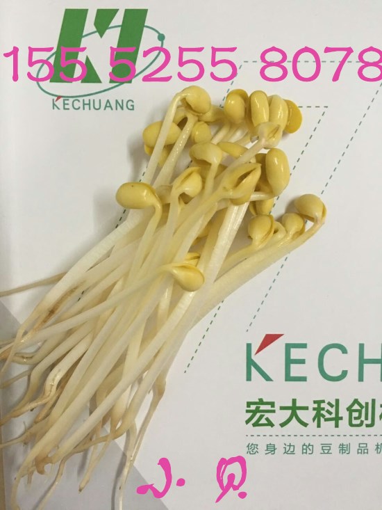 ͶѿC(j)X