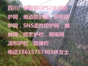Fdx߅·oW(wng)SǭϹ·rʯW(wng)䓽zW(wng)^UKS