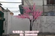 ٘ѻ~҃(ni)ѻӆ ʥ^
