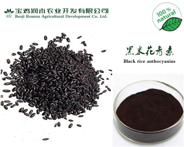 ȡﻨ25W(bio)