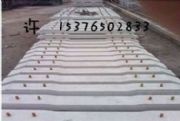 600܉ˮľ,1.2ˮľ,V܉,(bio)܉