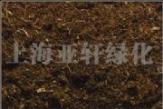 ̿̿ 픻@(zhun)̿