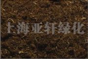 I(yng)B(yng) ̿l(f) 픻@(zhun)àI(yng)B(yng)
