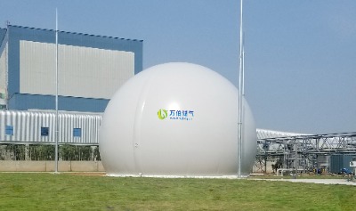 fpĤ(ch)WD68S