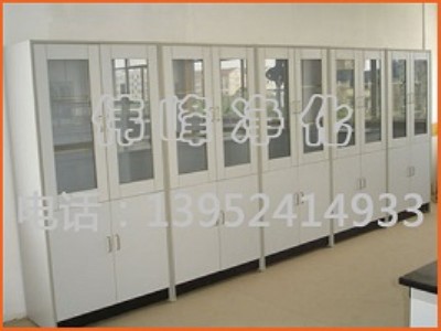 試劑柜 通風(fēng)試劑柜 實(shí)驗(yàn)室試劑柜